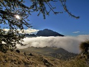 PIETRA QUADRA (2376 m) dalle Baite di Mezzeno-15ott22 -  FOTOGALLERY